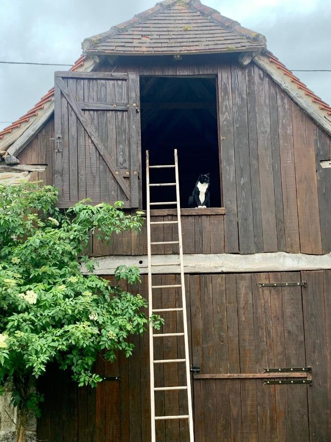 Chambres D'Hotes Pech Blanc Calvignac Exterior photo