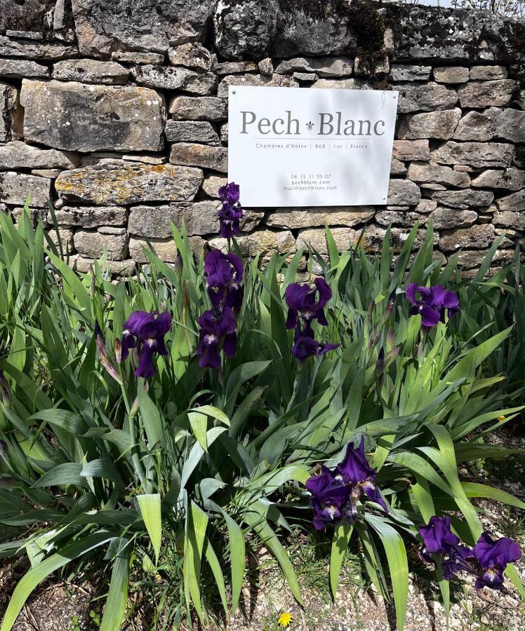 Chambres D'Hotes Pech Blanc Calvignac Exterior photo